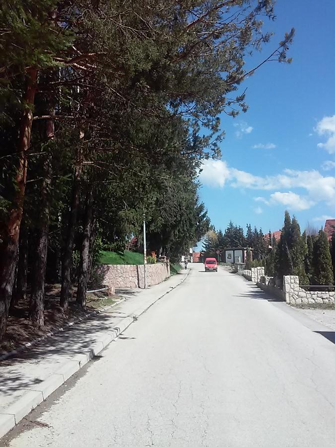 Apartmani Kovacevic Zlatibor Zewnętrze zdjęcie